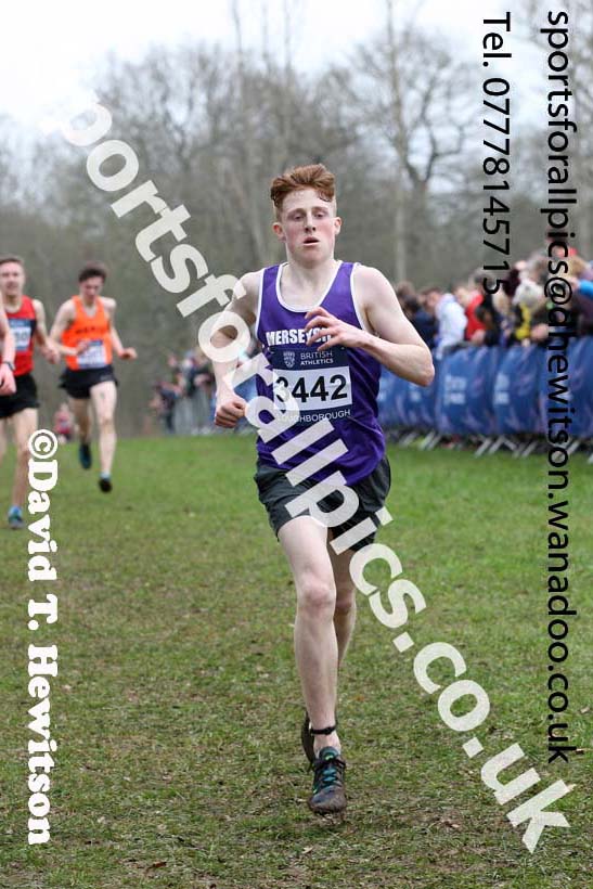 Mens under-17s Inter Counties Cross Country, Prestwold Hall, Loughborough. Photo: David T. Hewitson/Sports for All Pics